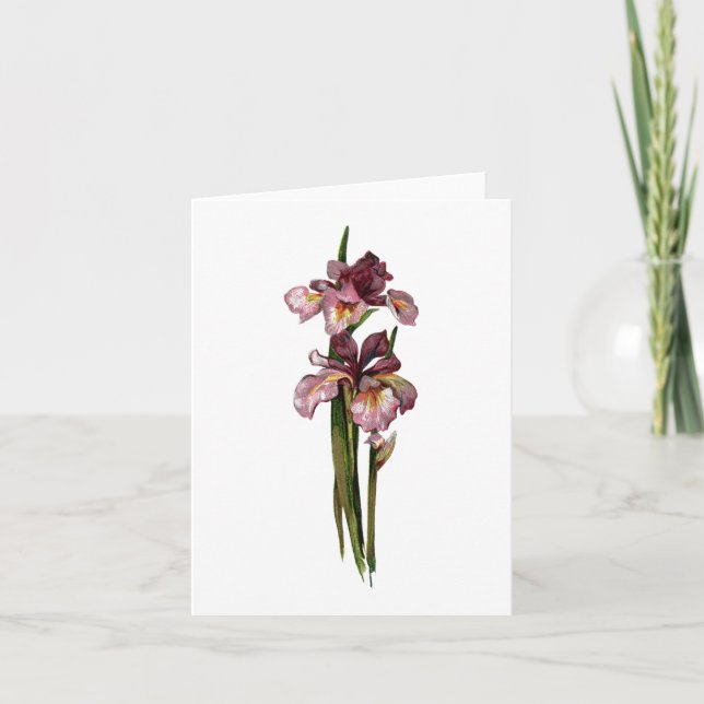 Purple Irises Note Card (Front)