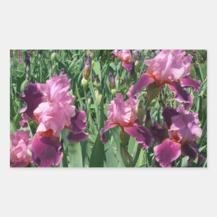 Purple Irises Spring Floral Rectangular Sticker