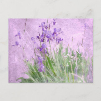 Purple Irises Watercolor - Postcard