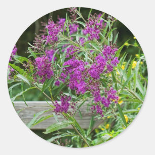 Purple Ironweed Wildflowers - Vernonia gigantea Classic Round Sticker