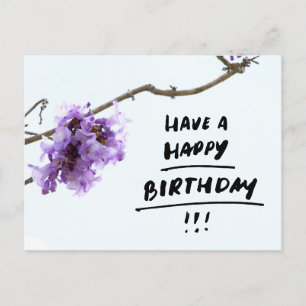 Purple Jacaranda Flowers Birthday Postcard