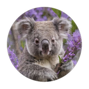 Purple Jacaranda Koala Bear, Cutting Board