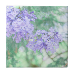 Purple Jacaranda Tree Flowers Nature Ceramic Tile