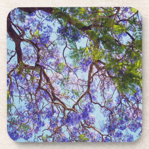 Purple Jacaranda Tree Oil Paint, Coaster