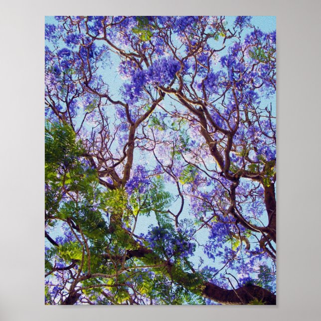 Purple Jacaranda Tree Oil Painting,   Poster (Front)