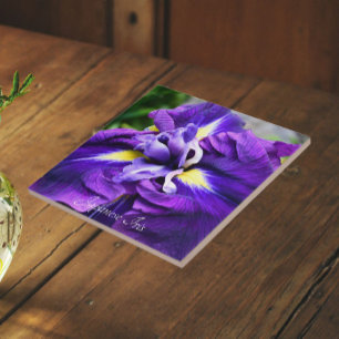 Purple Japanese Iris Bloom Floral Ceramic Tile