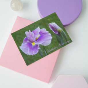 Purple Japanese Iris Floral Birthday Card
