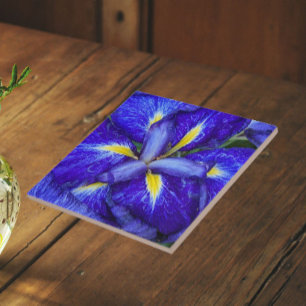 Purple Japanese Iris Floral Ceramic Tile