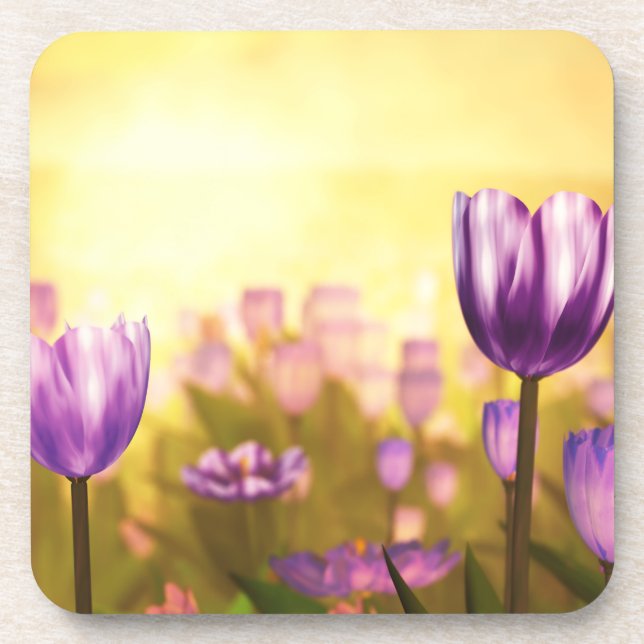 Purple Jubilee Cork Coasters (Front)