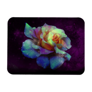 Purple Kissed Turquoise Rainbow Rose Magnet