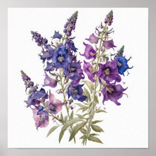Purple Larkspur Flower Art Print Poster