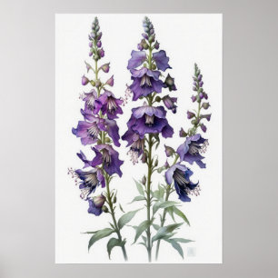 Purple Larkspur Flower Art Print Poster