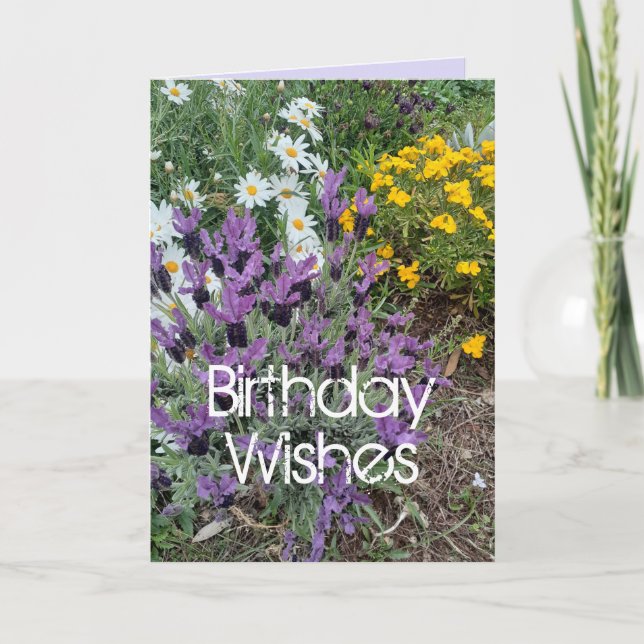 Purple Lavender & Daisy Flower Floral Birthday Car Card (Front)