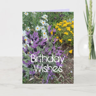 Purple Lavender & Daisy Flower Floral Birthday Car Card