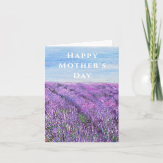 purple lavender field   Mother's Day  Card