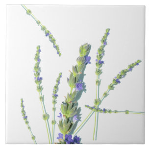 Purple Lavender Flower Flowers Ceramic Tile