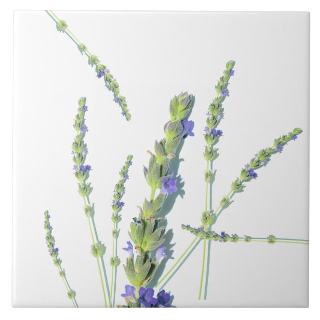 Purple Lavender Flower Flowers Ceramic Tile (Front)