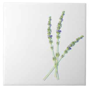 Purple Lavender Flower Flowers Ceramic Tile