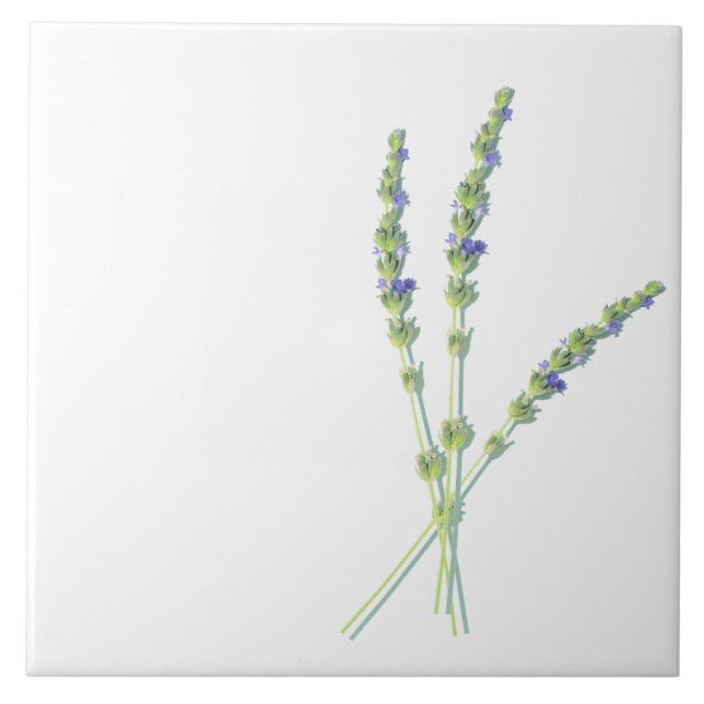 Purple Lavender Flower Flowers Ceramic Tile (Front)