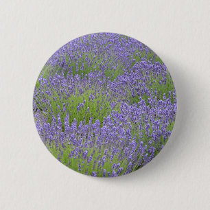 Purple lavender flower garden 6 cm round badge