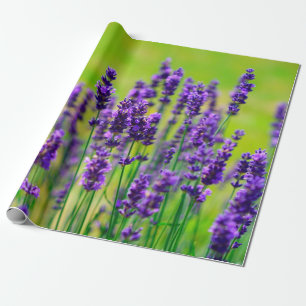 Purple Lavender Flower Wrapping Paper