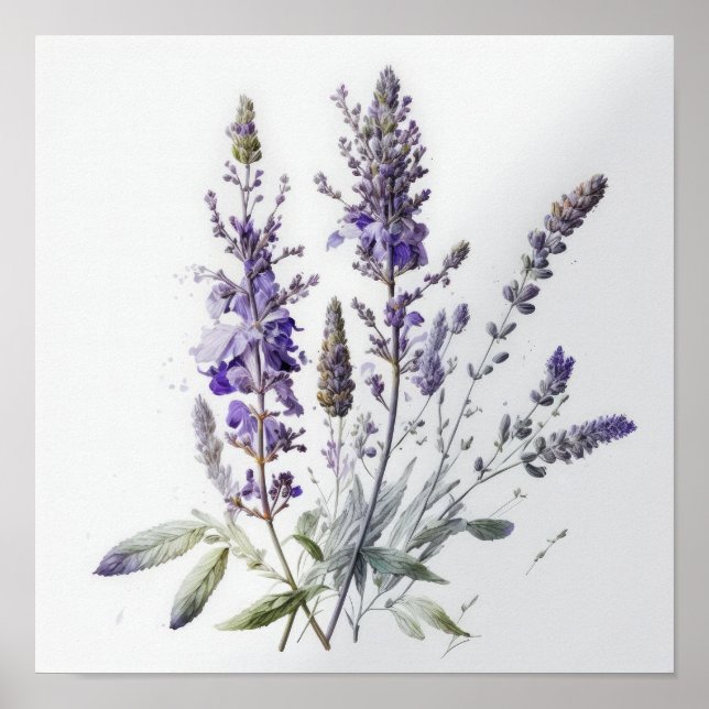 Purple Lavender Flowers Art Print Poster (Front)