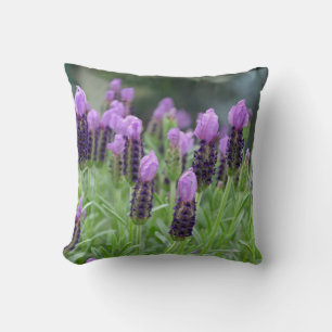 Purple lavender flowers throw pillow