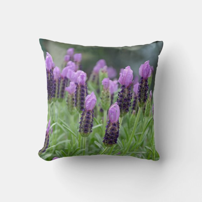 Purple lavender flowers throw pillow (Front)