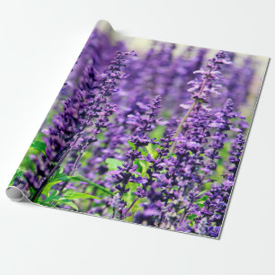 Purple Lavender Flowers Wrapping Paper
