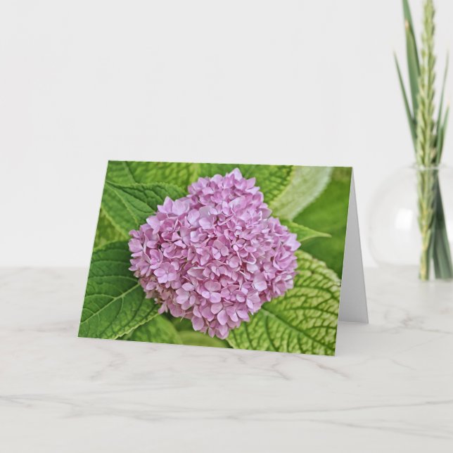Purple Lavender Hydrangea Puff Note Card (Front)
