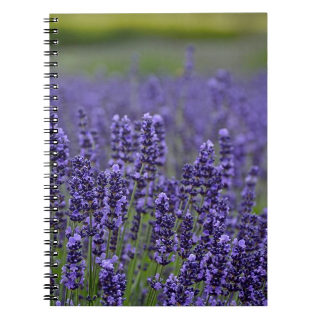 Purple lavender meadow notebook (Front)