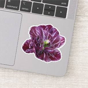 Purple Lavender Tulip Floral