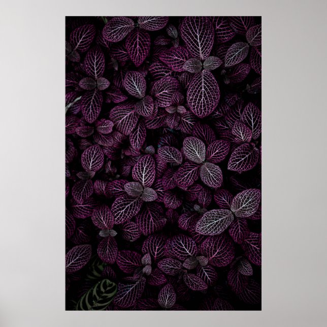 PURPLE LEAFED PLANT FIELD POSTER (Front)