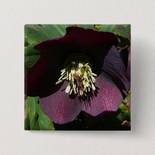 Purple Lenten Rose Easter Flower 15 Cm Square Badge
