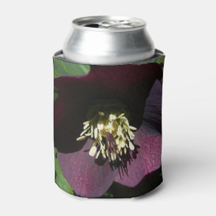 Purple Lenten Rose Easter Flower Can Cooler