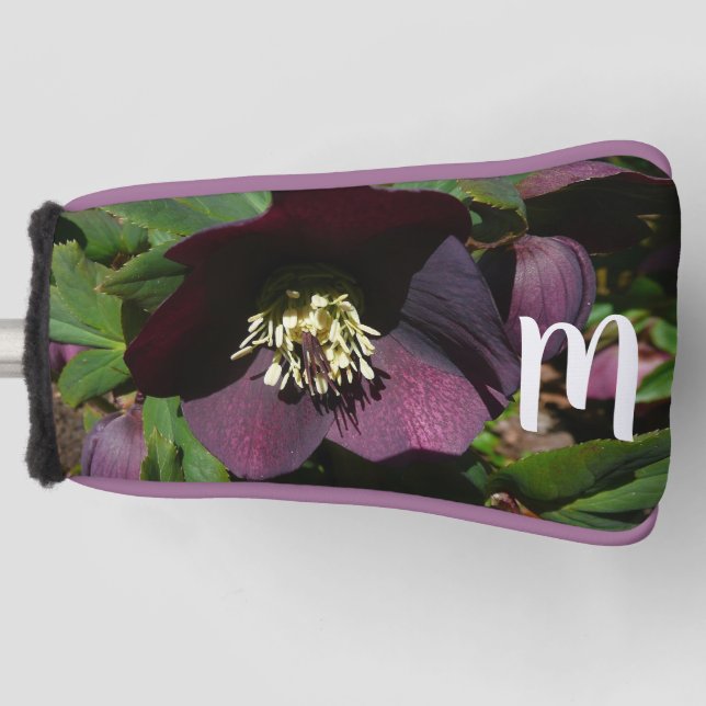 Purple Lenten Rose Easter Flower Golf Head Cover (Front)