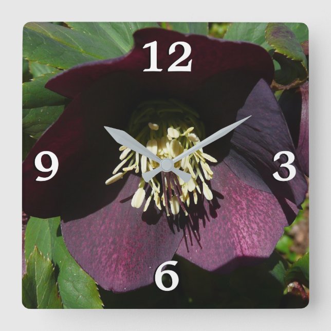 Purple Lenten Rose Easter Flower Square Wall Clock (Front)