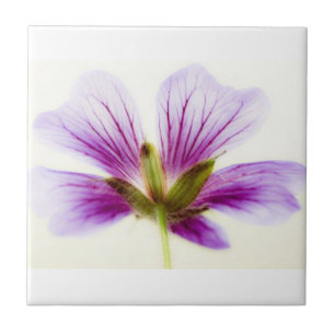 Purple Light Flower Tiles