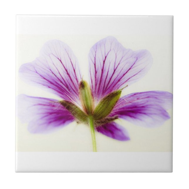 Purple Light Flower Tiles (Front)