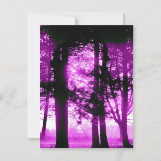 Purple Light with Silhouette Trees Postcard