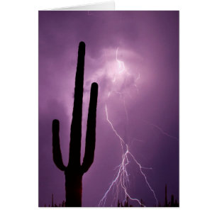 Purple lightning and cactus, AZ