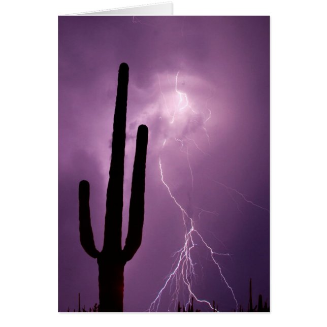 Purple lightning and cactus, AZ (Front)