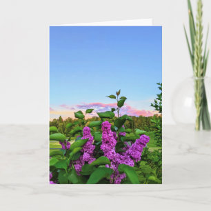 Purple Lilac Blank Card