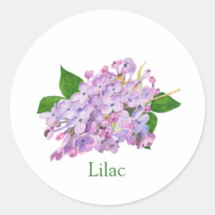 Purple lilac botanical watercolor classic round sticker