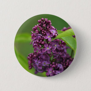 Purple Lilac Button
