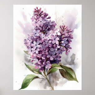 Purple Lilac Flowers Art Print Poster