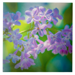 Purple Lilac Flowers Ceramic Tile