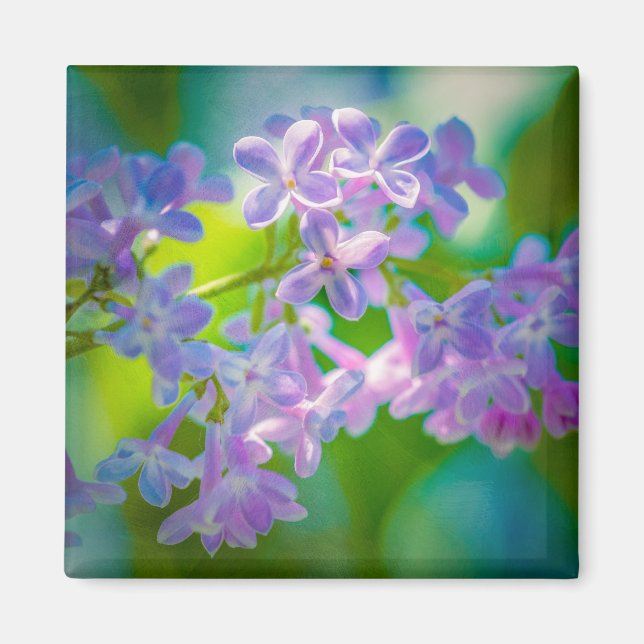 Purple Lilac Flowers Magnet (Front)