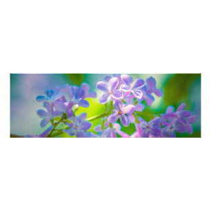 Purple Lilac Flowers Photo Print