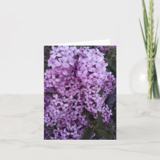 Purple Lilac Flowers Photograph Card